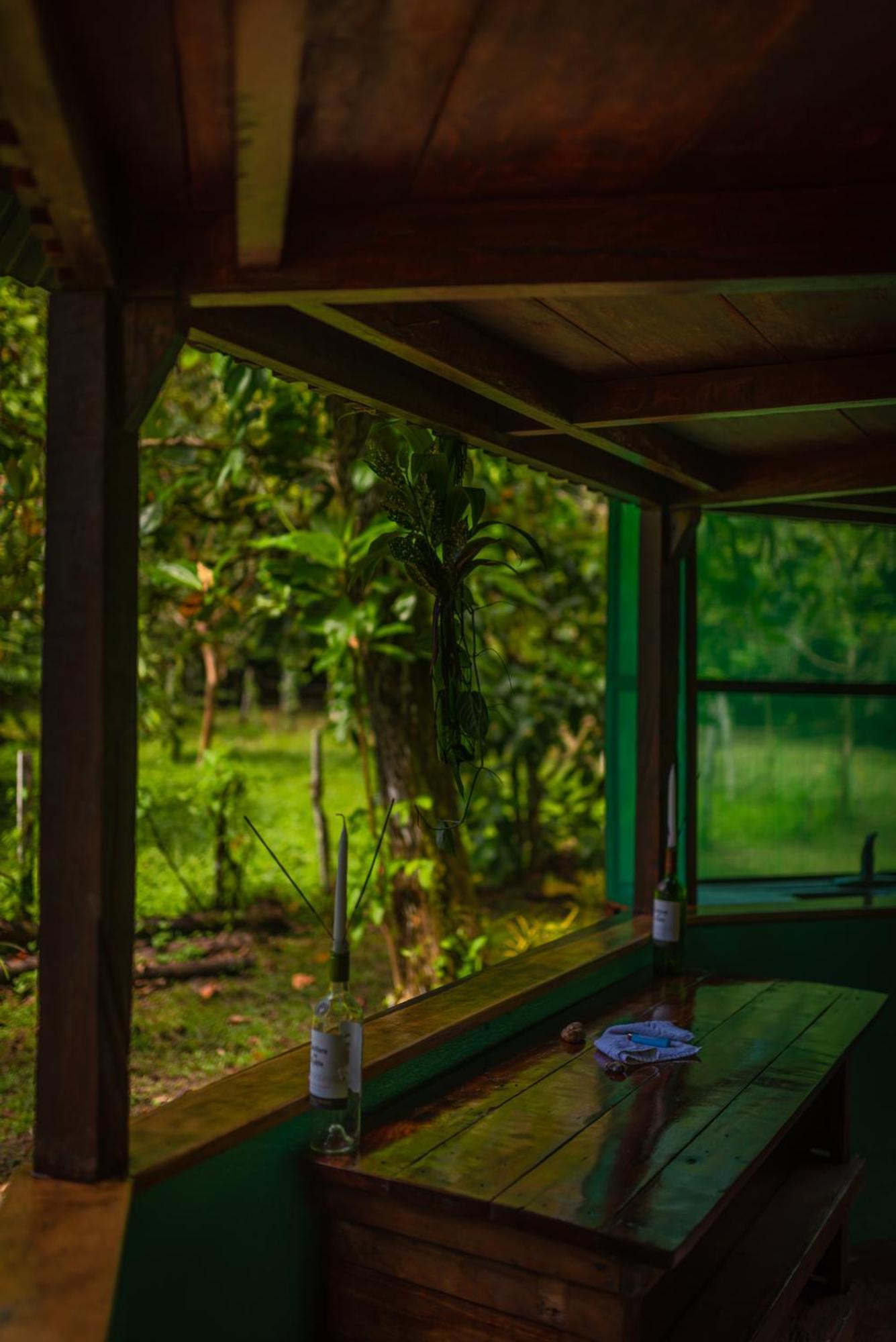 Villa Dolphin Quest Costa Rica Piedras Blancas Exterior foto