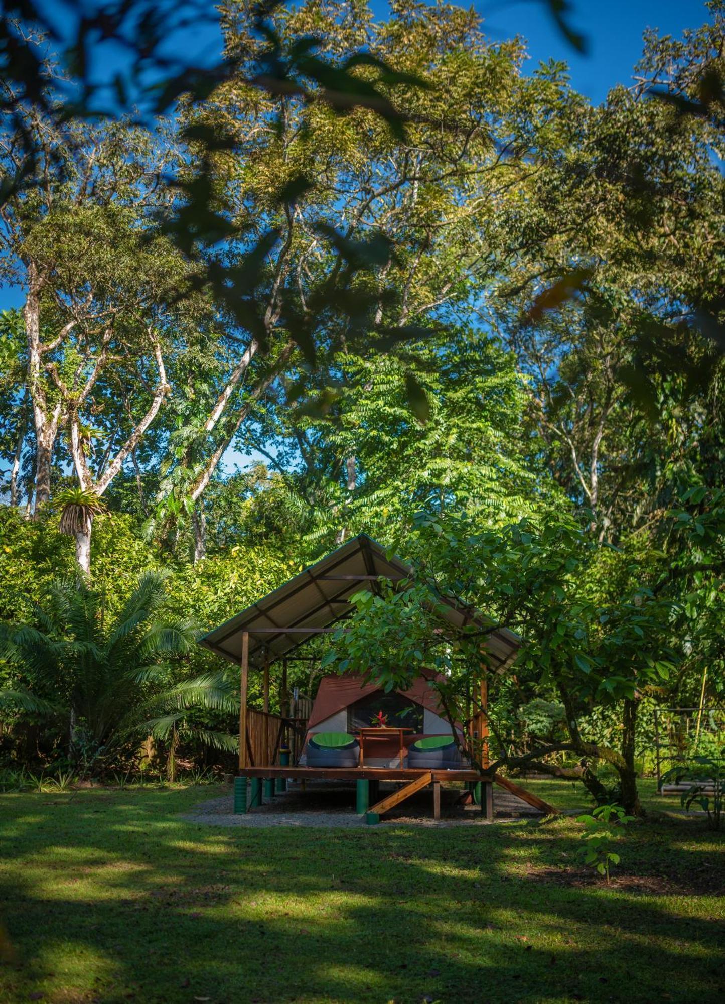 Villa Dolphin Quest Costa Rica Piedras Blancas Exterior foto